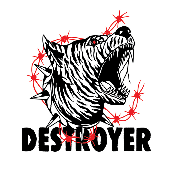 Destroyer Design