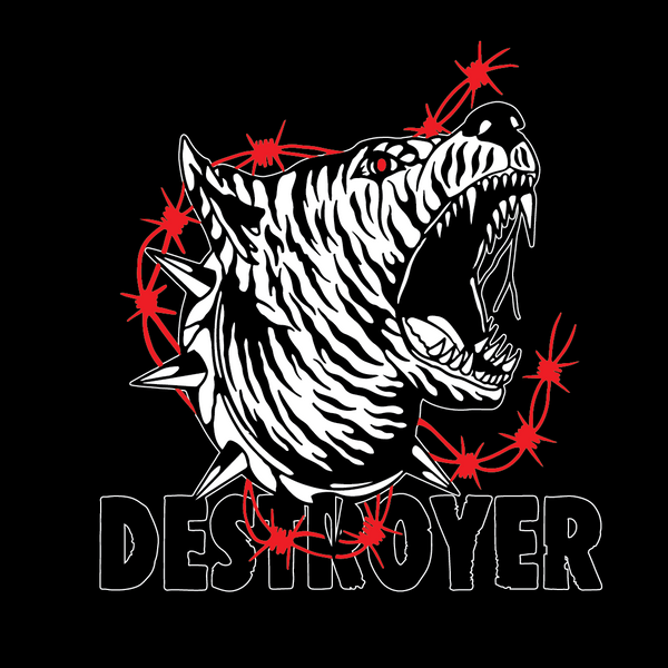 Destroyer Design